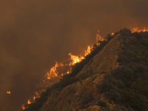How Los Angeles’s creative agencies are aiding their communities amid historic wildfires